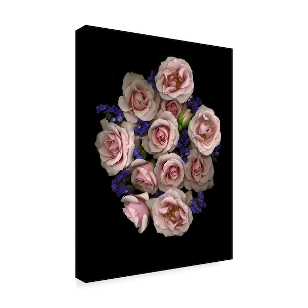 Susan S. Barmon 'Pale Pink Roses And Blue' Canvas Art,14x19